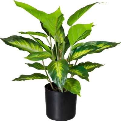 Produktbild von Kunstpflanze Dieffenbachia - Grün - Schwarz - Kunststofftopf - H 45 cm