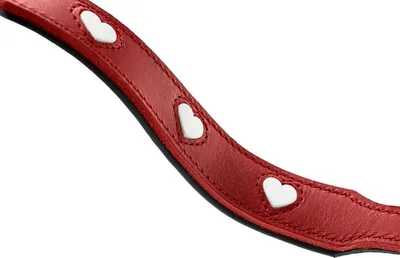 Produktbild von Hunter Hundeleine Rot 2 m Verstellbar