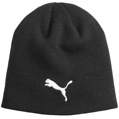 Zdjęcie produktu dla Czapka Puma individual winterized tech 02494301