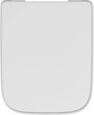 A white toilet seat viewed from above on a white background.
