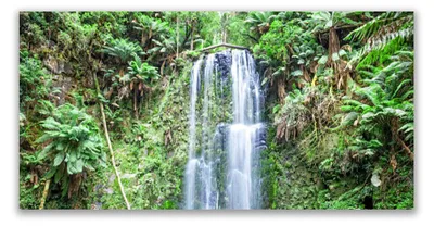 Produktbild von Glasbilder 120x60 Wandbild Druck auf Glas Wasserfall Bäume Natur