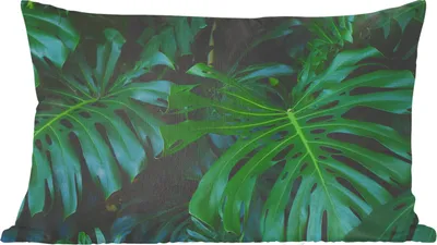 Produktbild von MuchoWow® Zierkissen Sofakissen Wohnzimmer Dekokissen 60x40 cm Monstera - Blätter - Tropisch - Dschungel - Kopfkissen - Polster mit Foto