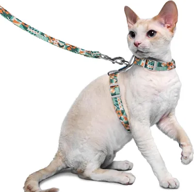 Immagine prodotto di Pettorina e guinzaglio per gatti Supet per gatti di piccola e grande taglia, gilet per gatti a prova di fuga, regolabile, leggero, grigio