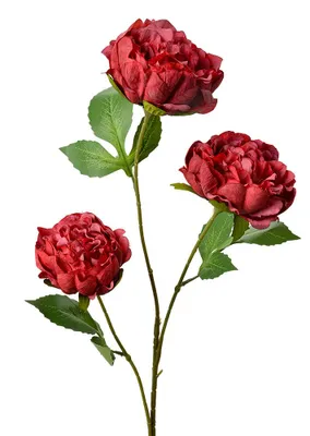 Immagine prodotto di Fiore artificiale Clayre & Eef 80 cm plastica rossa