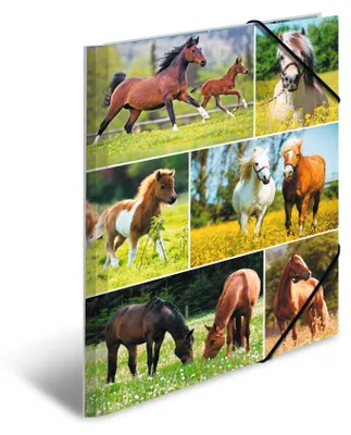 Productafbeelding van HERMA verzamelmappen A4, paardendesign, set van 3 stuks, kartonnen kindermappen met hoekverstevigingen