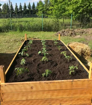 Image de Bac à plantes surélevé 100x50x40cm Bac à légumes Bac à herbes 200l Bac à plantes