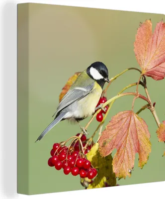 Produktbild von MuchoWow® - Leinwandbilder - Tolle Meise zwischen den roten Blättern, Wandbild, Wanddeko Bilder Wohnzimmer, 20x20 cm