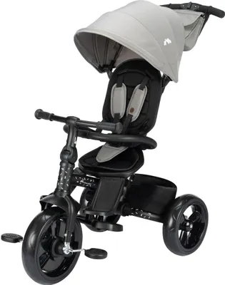 Image de Bebeconfort Windy, tricycle avec barre de poussée, 10 mois-4 ans, 0-25 kg, ajustable à l'enfant, siège réversible confortable, capote protectrice, Tinted Grey