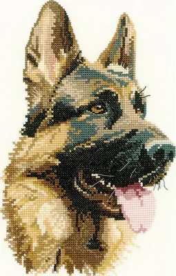 Zdjęcie produktu dla Wycofany zestaw do haftu krzyżykowego Heritage Aida "Cash (A)", wzór liczony, APCA858-A, 15x23cm
