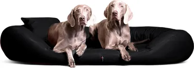 Produktbild von tierlando® Orthopädisches Hundebett SAMMY | Pflegeleichtes Kunstleder | L-XXXXL - Größe: 170x110cm | Farbe: 03 Schwarz