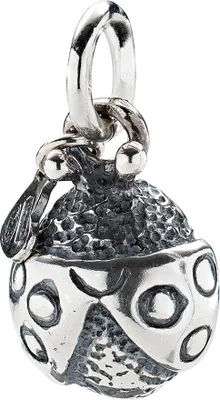 Immagine prodotto di Charms Amen Argento Collezione Charms - donna