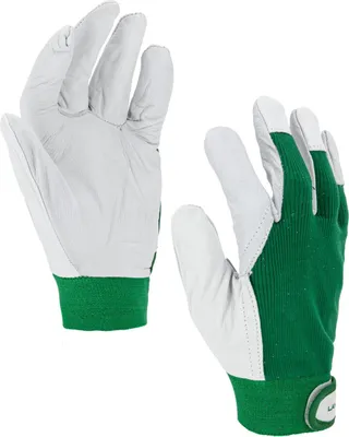 Produktbild von Ziegenlederhandschuhe, Grün L273109P, Karte, "9", Ce, Lahti