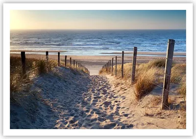 Produktbild von Poster - Poster ohne Rahmen - Meer Strand Düne - 100x70 cm - Wand Bild - Wanddeko - Wandbilder - Kunstposter - Wandposter - Bilder - Kunstdruck - Wanddekoration - Wandbild - P2XAA100x70-3612