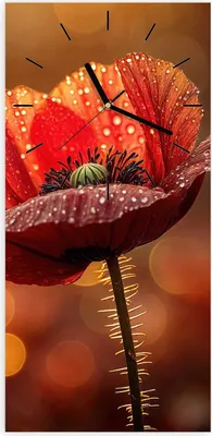 Produktbild von Wanduhr aus Glas mit Motiv Blühende Mohnblume- 30 x 60 cm - inkl. Aufhängesystem