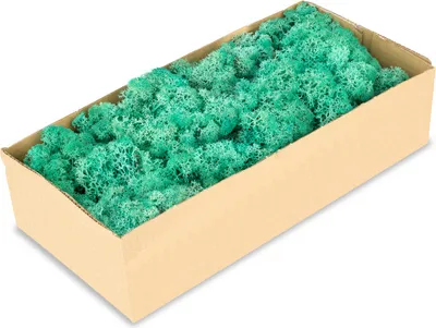 Produktbild von Islandmoos pacific grün 500 g