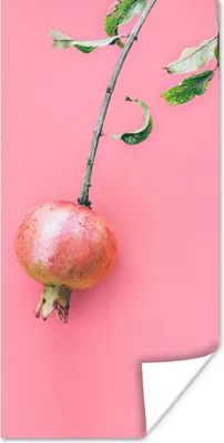 Produktbild von MuchoWow® Poster Pflanzen - Sommer - Rosa 20x40 cm - Plakat - Foto