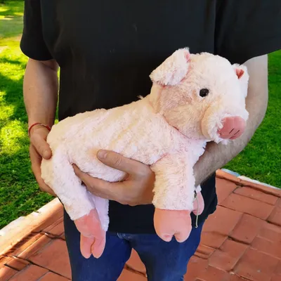 Immagine prodotto di Mamma maiale con bambini peluche Noxxiez maialino peluche