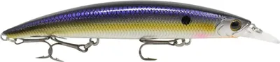 Produktbild von Seika Pro Veitwitch 12,0cm 20 g Ablette Wobbler