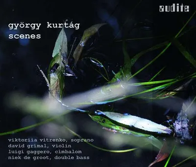 Zdjęcie produktu dla Sceny