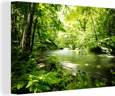 Produktbild von MuchoWow® - Leinwandbilder - Wald - Baum - Wasser, Wandbild, Wanddeko Bilder Wohnzimmer, 120x80cm