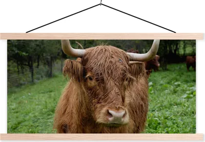 Produktbild von MuchoWow® Textilposter Schottische Hochlandrind - Tiere - Gras 60x30 cm mit holzfarbenen Rahmen - Dekoration