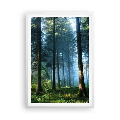 Produktbild von Gerahmtes Poster - Weißer Rahmen - Wald Dämmerung die Sonne - 70x100 cm - Wand Bild - Wanddeko - Wandbilder - Kunstposter - Wandposter - Bilderrahmen - Bilder - Kunstdruck - P2WPA70x100-4398