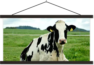 Produktbild von MuchoWow® Textilposter Kuh - Gras - Tiere - Berg 90x45 cm mit schwarzem Rahmen - Klemmleisten
