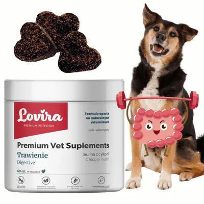 Zdjęcie produktu dla SUPLEMENTY dla PSA na TRAWIENIE 60 smaczków PROBIOTYKI wątróbka na Jelita