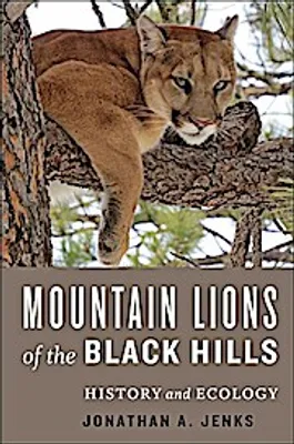 Produktbild von Berglöwen in den Black Hills