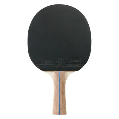 Image de Raquette de tennis de table HUDORA