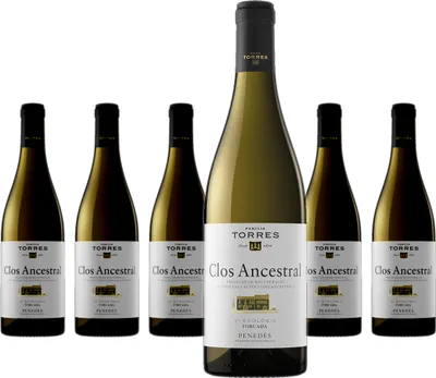 Produktbild von 6 x Miguel Torres Clos Ancestral Blanco