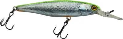 Produktbild von Illex Squirrel 76 SP RT Visible Roach