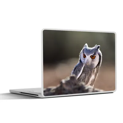 Produktbild von MuchoWow® Laptop Aufkleber Sticker Cover Eule - Makro - Tier 25x18 cm - Laptop-Deko
