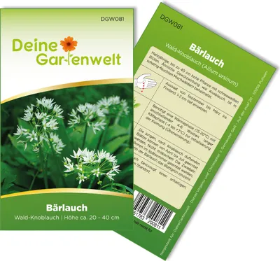 Bärlauch Waldknoblauch Samen - Allium ursinum - Bärlauchsamen - Kräutersamen - Saatgut für 20 Pflanzen