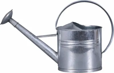Image de Arrosoir galvanisé avec rosace 10l
