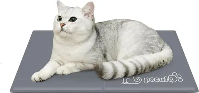 Produktbild von Pecute Kühlmatte 120x75 cm für Katzen und Hunde, Selbstkühlende Haustierdecke, Blau XL