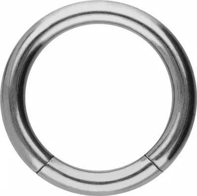 Produktbild von Intim-Piercing, Septum Piercing Titan Segmentring