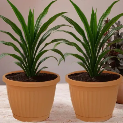 Immagine prodotto di Set di 2 vasi per piante in terracotta con sottovaso - resistenti ai raggi UV, alle intemperie e durevoli - 25 cm x 20 cm, 5,5 l