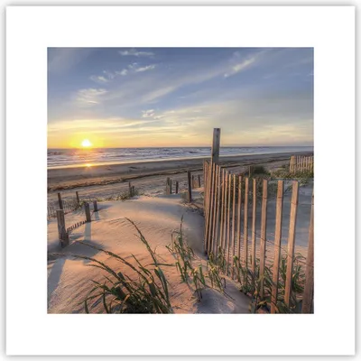Produktbild von Poster - Poster ohne Rahmen - Westen Sonne Düne - 30x30 cm - Wand Bild - Wanddeko - Wandbilder - Kunstposter - Wandposter - Bilder - Kunstdruck - Wanddekoration - Wandbild - P2XAC30x30-4219