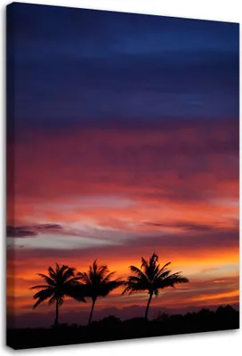 Produktbild von Leinwandbild bunter himmel und palmen 60x90 cm Feeby rosa wandbild bereit zum aufhängen