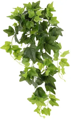 Produktbild von Efeu-Girlande, grün, 80x28x26 cm, Zimmerpflanze