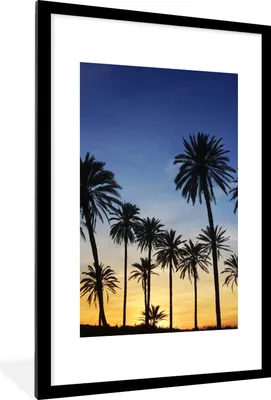Produktbild von MuchoWow® Gerahmtes Poster Palme - Natur - Strand - Sonne - Nacht 60x90 cm - Poster mit Schwarzem Bilderrahmen Wandposter Rahmen Foto Bilder - Dekoration - Wandposter Wohnzimmer - Hochwertig