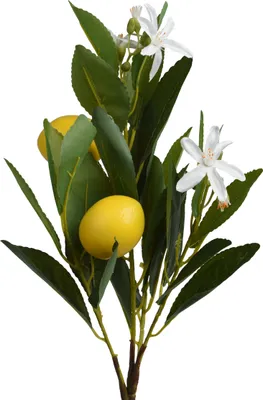 Produktbild von Künstlicher Dekozweig Zitrone gelb/grün 56 cm