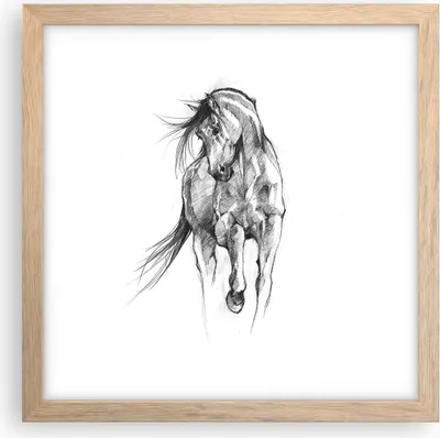 Produktbild von Gerahmtes Poster - Rahmen in heller Eiche - Pferd Galopp Tier - 30x30 cm - Wand Bild - Wanddeko - Wandbilder - Kunstposter - Wandposter - Bilderrahmen - Bilder - Kunstdruck - P2NAC30x30-5080