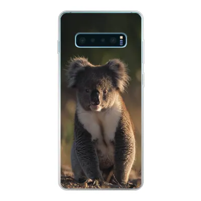 Produktbild von MuchoWow® Handyhülle Schutzhülle Hülle für Samsung Galaxy S10 Plus Koala - Sonne - Tier - Kinder - Jungen - Mädchen Silikon Softcase Handy Hülle - Schutzhülle