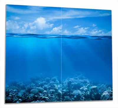 Produktbild von Wallario Herdabdeckplatte aus Glas, Größe 60 x 52 cm 2-teilig, Motiv Unterwasserwelt Meer
