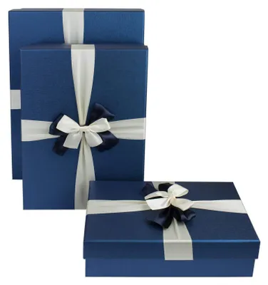 Produktbild von Set aus 3 n Geschenkboxen mit luftdichten Deckeln