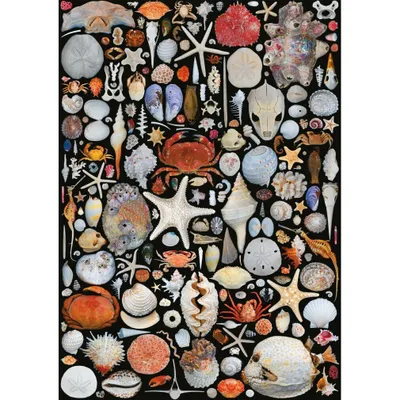 Produktbild von PIATNIK Puzzle Vom Strand 1000 Teile
