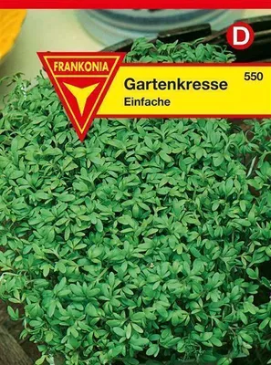 Produktbild von Gartenkresse Großpackung