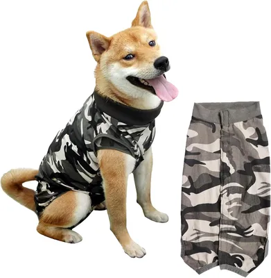 Produktbild von Hunderecovery-Anzug atmungsaktiv, Größe L, mit Camouflage, Schutz nach Operationen